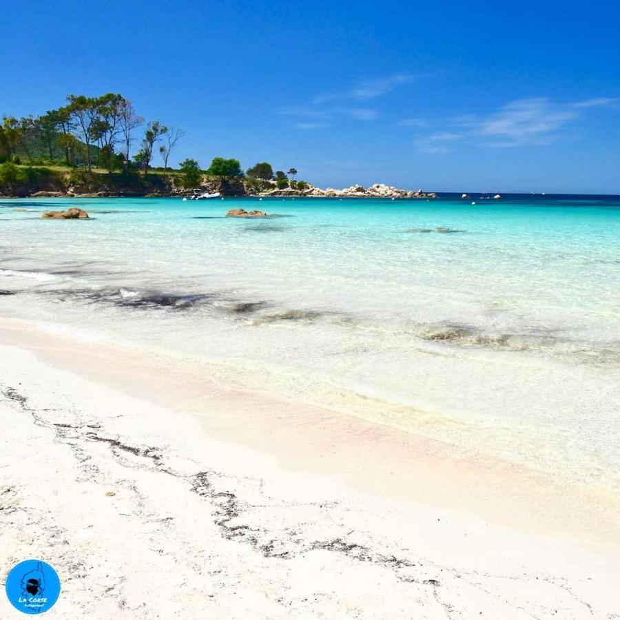 Joli Studio Maisonnette A 100M De La Plage Портисио Екстериор снимка